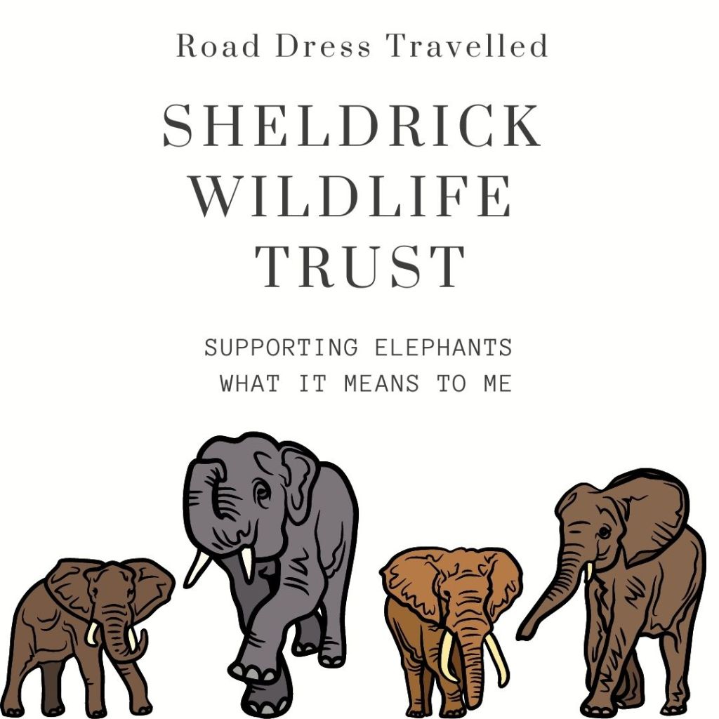 MY JOURNEY SUPPORTING&nbsp;ELEPHANTS