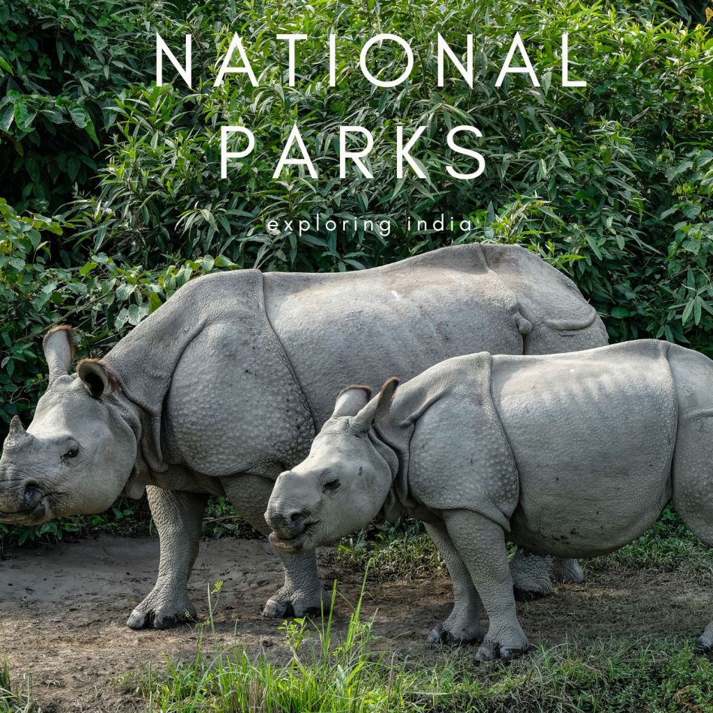 BEST NATIONAL PARKS IN INDIA, WORTH EVERY&nbsp;VISIT